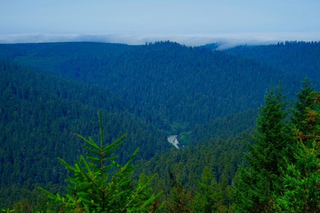 Redwood Creek OverlookKlamath River Overlook in Redwood National Park