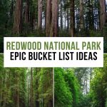 Best Things to Do at Redwood National Park Pinterest Pin