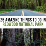 Best Things to Do at Redwood National Park Pinterest Pin