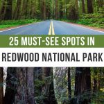 Best Things to Do at Redwood National Park Pinterest Pin