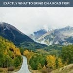 100+ road trip essentials for your road trip packing list Pinterest pin