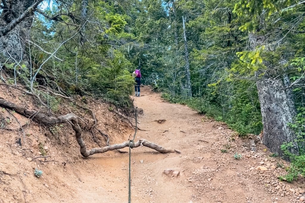 Ropes up to the summit of Mount Storm King in Olympic National Park