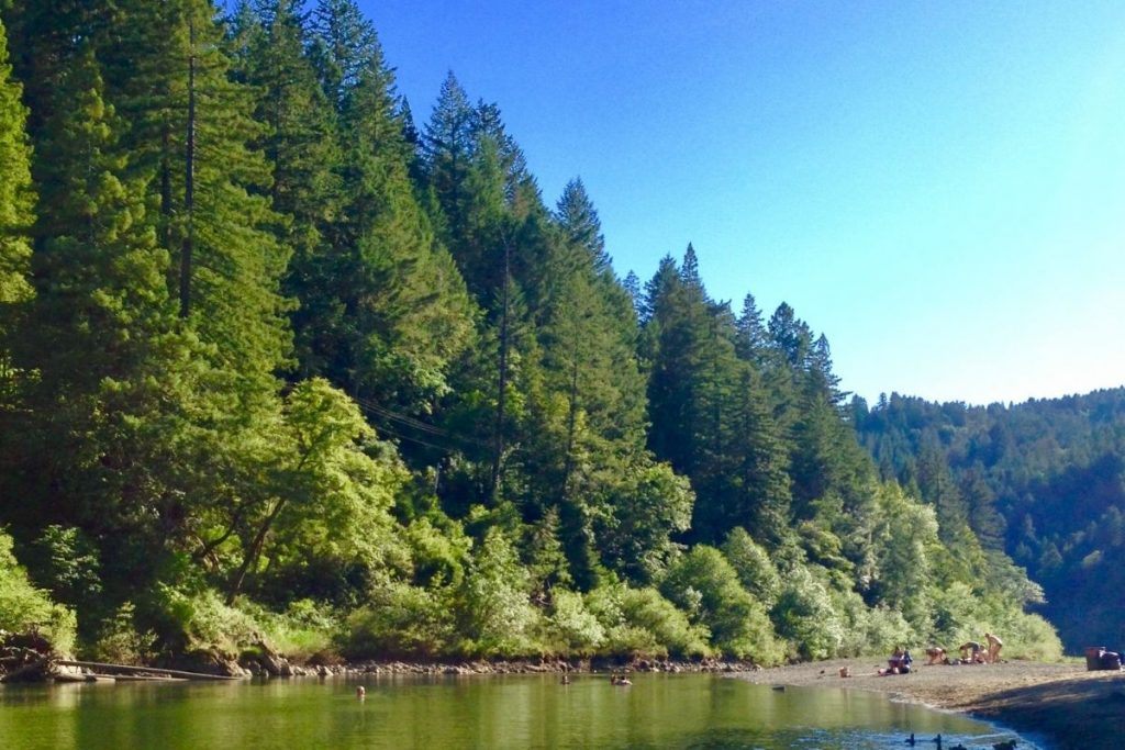 Beach along Russian River