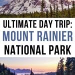 Seattle to Mount Rainier National Park Day Trip Itinerary Pinterest Pin