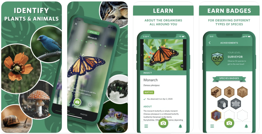 Seek by iNaturalist app screenshot