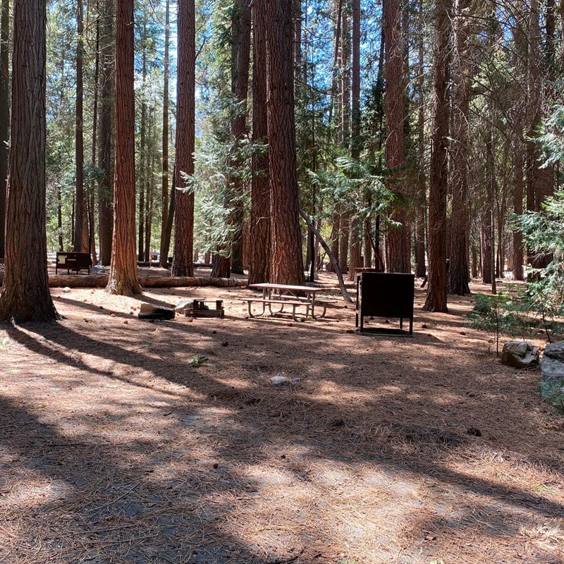 Sentinel Campground in Kings Canyon National Park