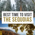 Best Time to Visit Sequoia National Park Pinterest Pin