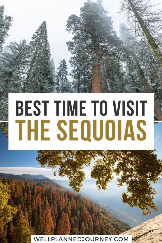 Best Time to Visit Sequoia National Park Pinterest Pin