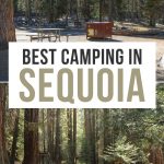 Best Camping in Sequoia National Park Pinterest Pin