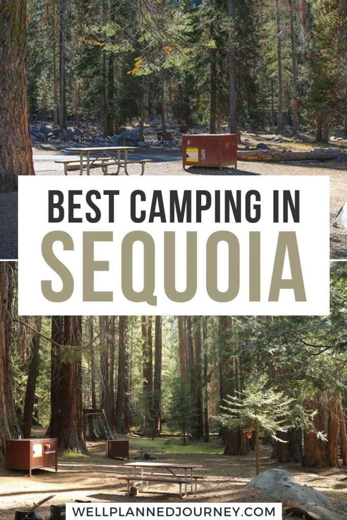 Best Camping in Sequoia National Park Pinterest Pin