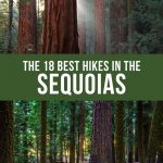 Best hikes in Sequoia National Park Pinterest pin