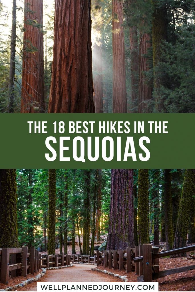 Best hikes in Sequoia National Park Pinterest pin