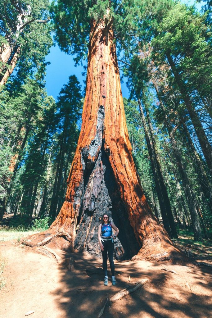 Standing in front of a sequoia tree in Sequoia National Park