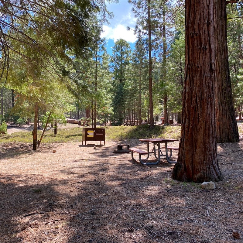 Sheep Creek Campground in Kings Canyon National Park