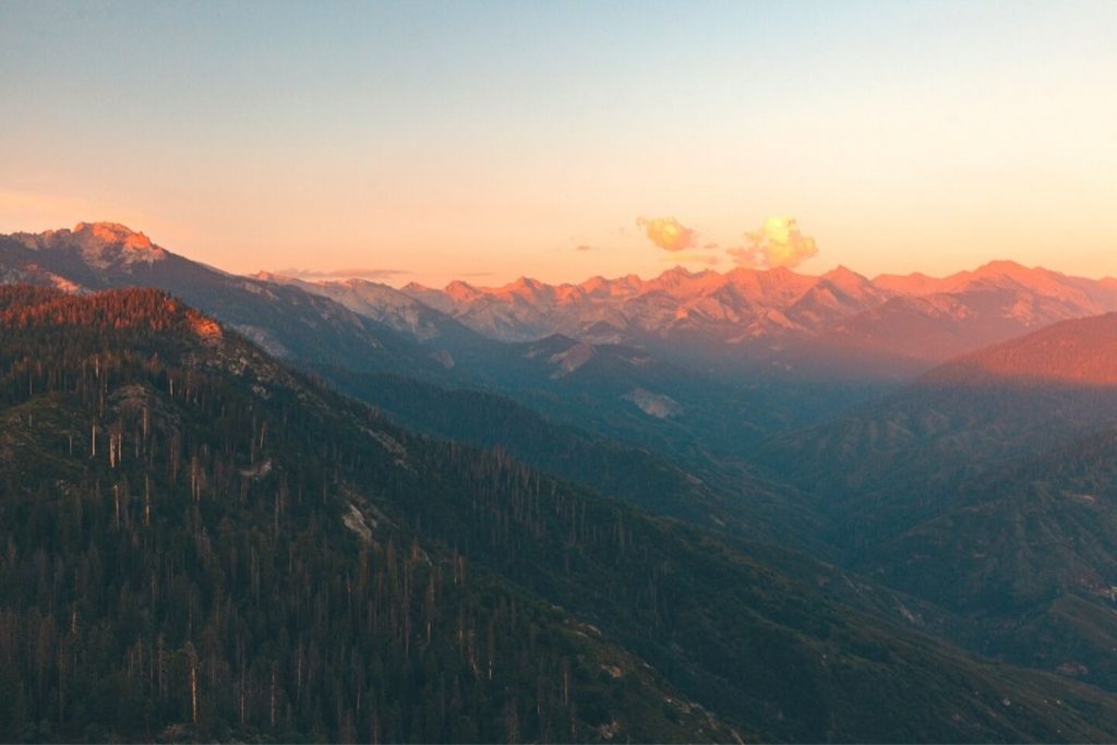 View of sequoias and the Sierra Nevada Mountains from Moro Rock