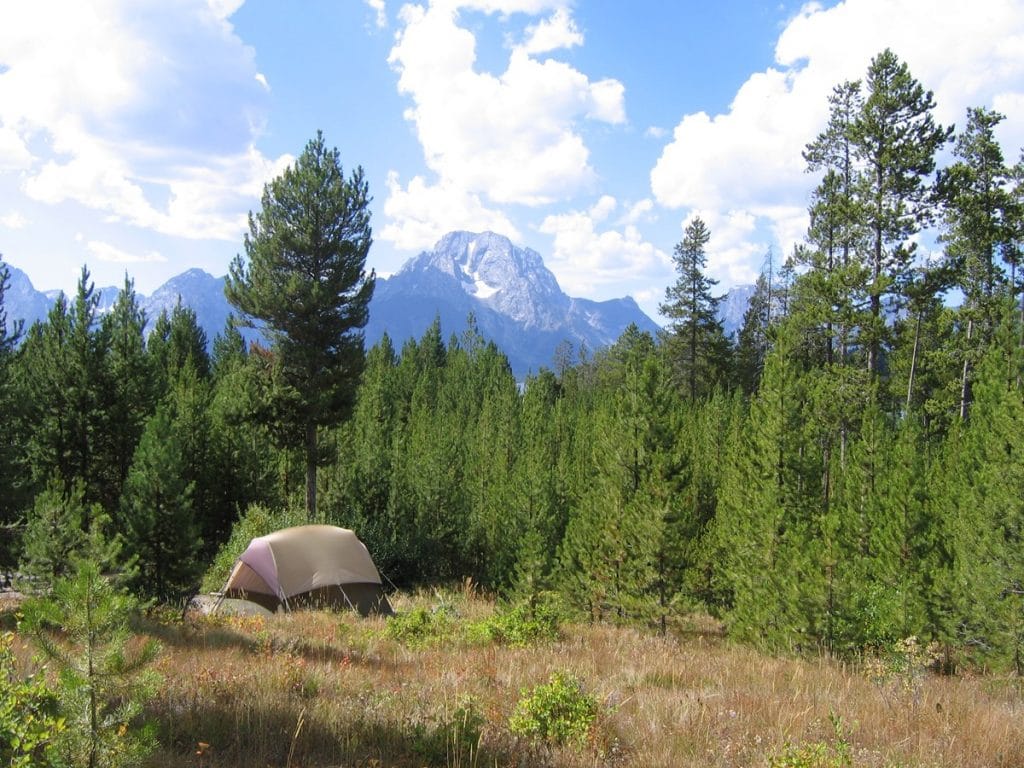 Tent in Signal Mountain Campground in Grand Teton