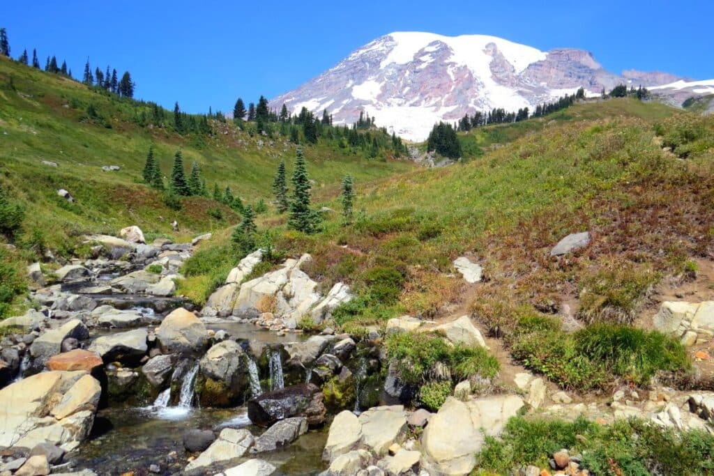 Skyline Trail in summer in Mount Rainier National Park