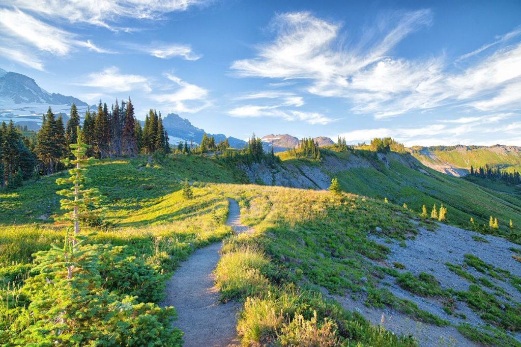 Early morning light on the Skyline Trail in Mount Rainier National Park