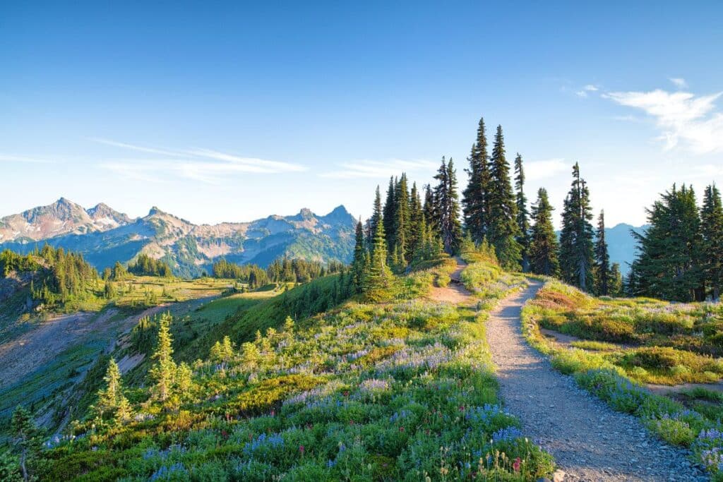 Skyline Trail in summer in Mount Rainier National Park