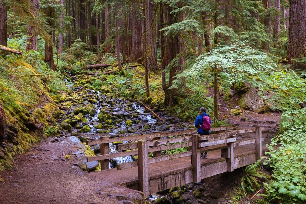 Cascades near Sol Duc Falls in Olympic National Park