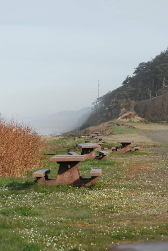 South Beach Campground along the coast in Olympic National Park