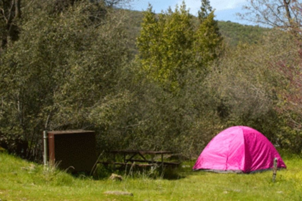 Campsite in South Fork Campground in Sequoia National Park