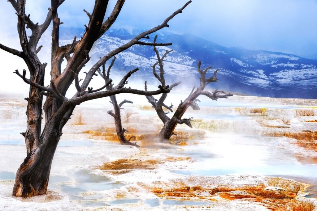 Snow melts atop Mammoth Hot Springs in Yellowstone