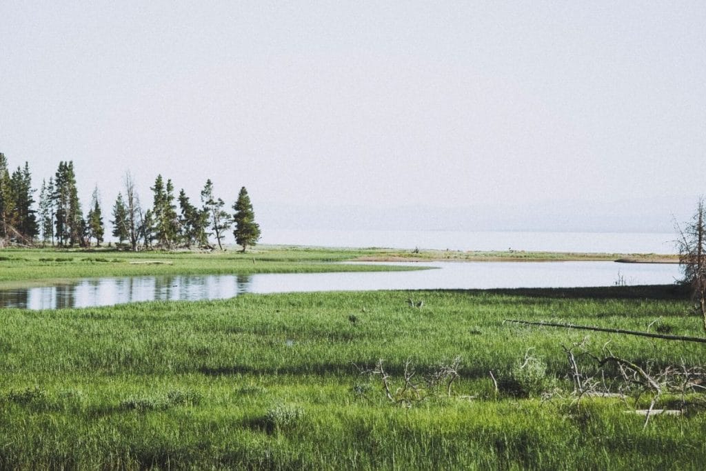 Pond and distant lake at Storm Point in Yellowstone