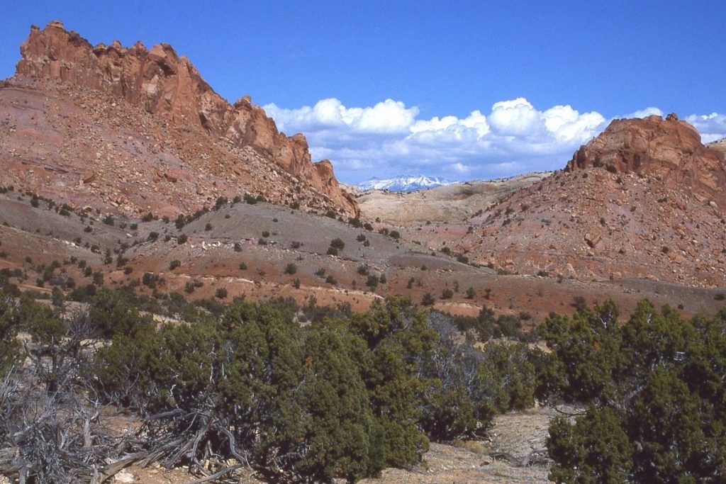 View of layer mountain formations and shrubs in the foreground at Strike Valley Overlook in Capitol Reef