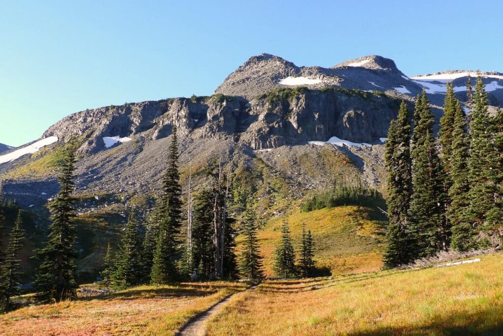 Summerland Trail in Mount Rainier National Park