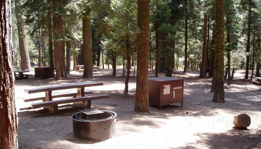 Sunset Campground in Kings Canyon National Park