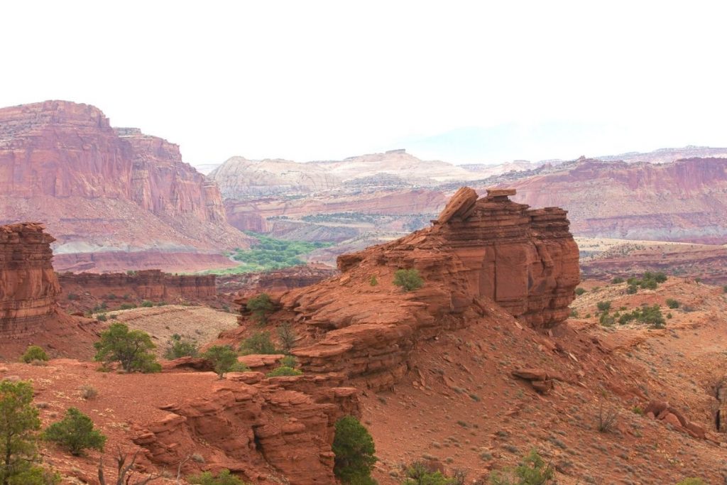 Red rocks in the foreground with mountains in the background at Sunset Point in Capitol Reef