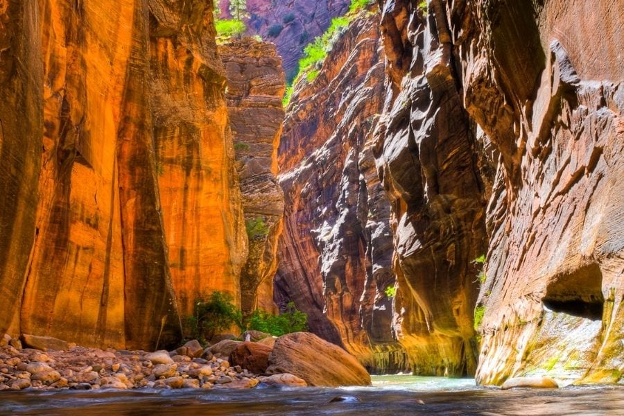 The Virgin Rivers flows through Zion Canyon on The Narrows trail