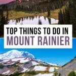 Best Things to Do in Mount Rainier National Park Pinterest Pin