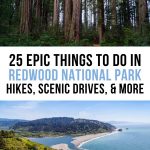 Best Things to Do at Redwood National Park Pinterest Pin