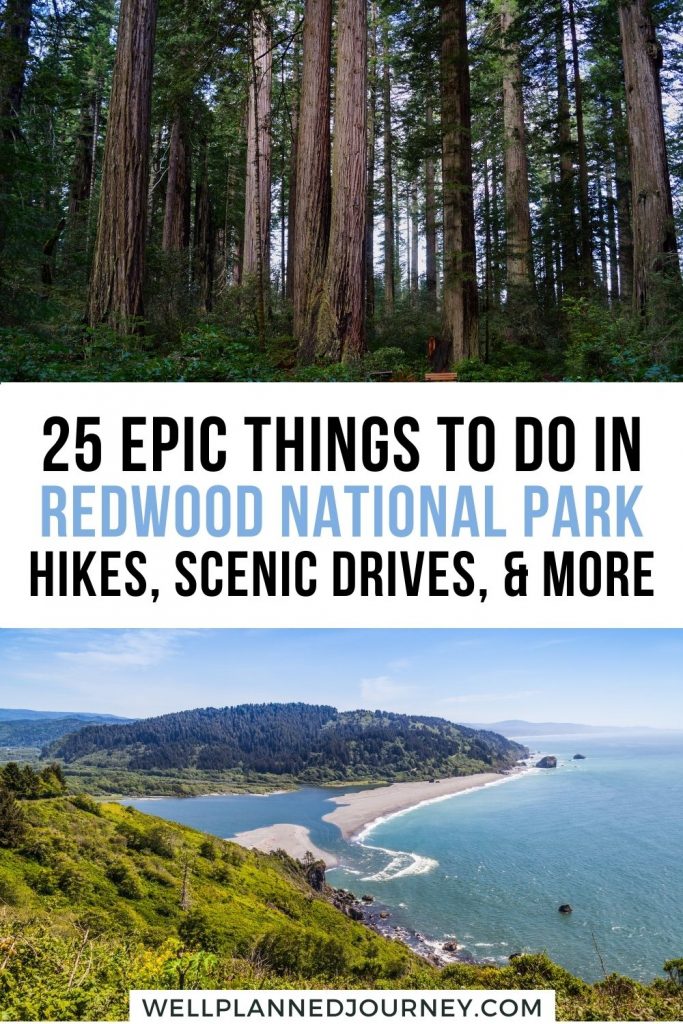 Best Things to Do at Redwood National Park Pinterest Pin