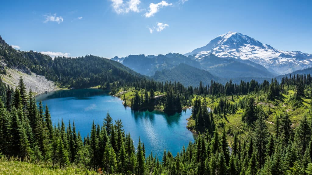 View of Mount Rainier from Tolmie Peak