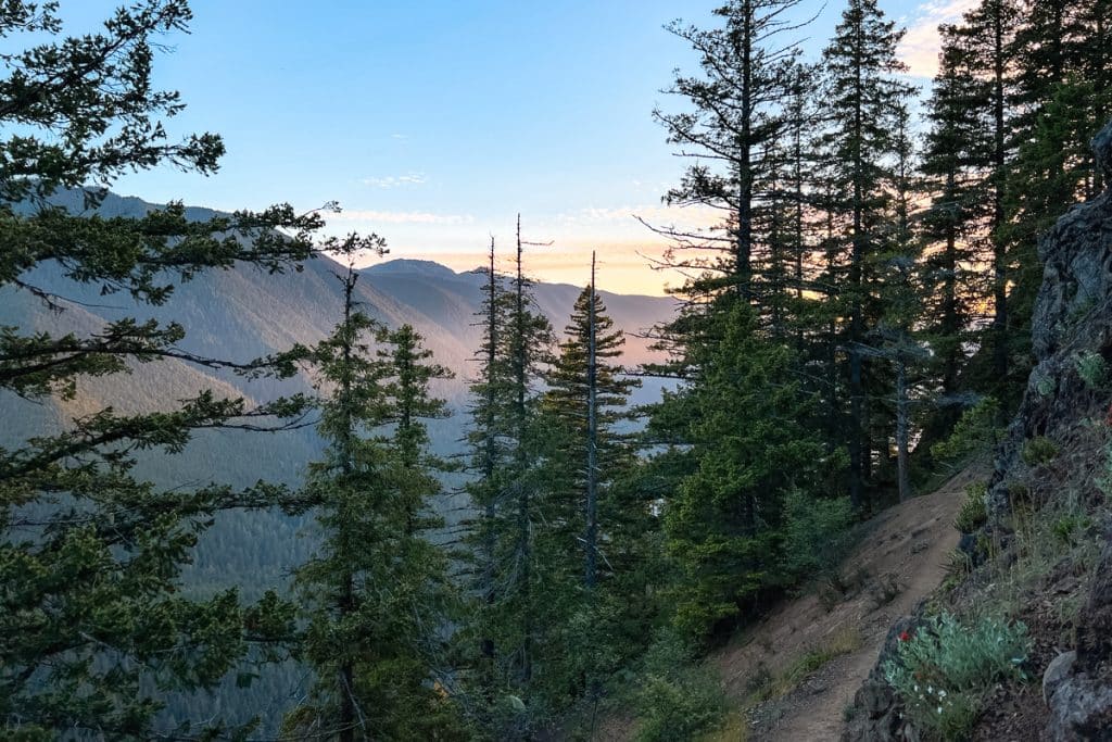 Trail to Mount Storm King in Olympic National Park