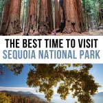 Best Time to Visit Sequoia National Park Pinterest Pin