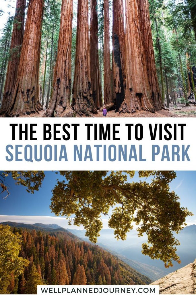 Best Time to Visit Sequoia National Park Pinterest Pin