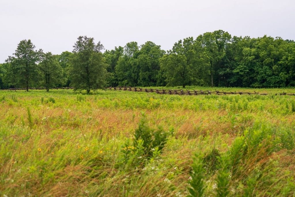 Field at Wilson's Creek National Battlefield