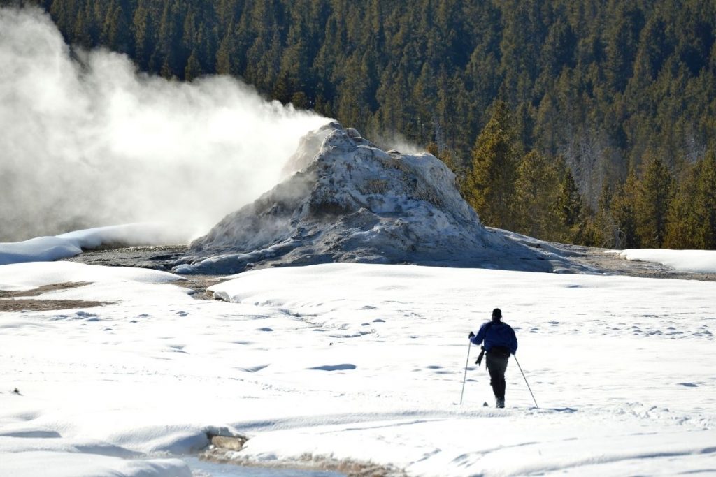 A cross country skier in front a geyser during winter in Yellowstone