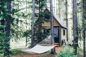 Cabin in the woods with a hammock near Yellowstone National Park