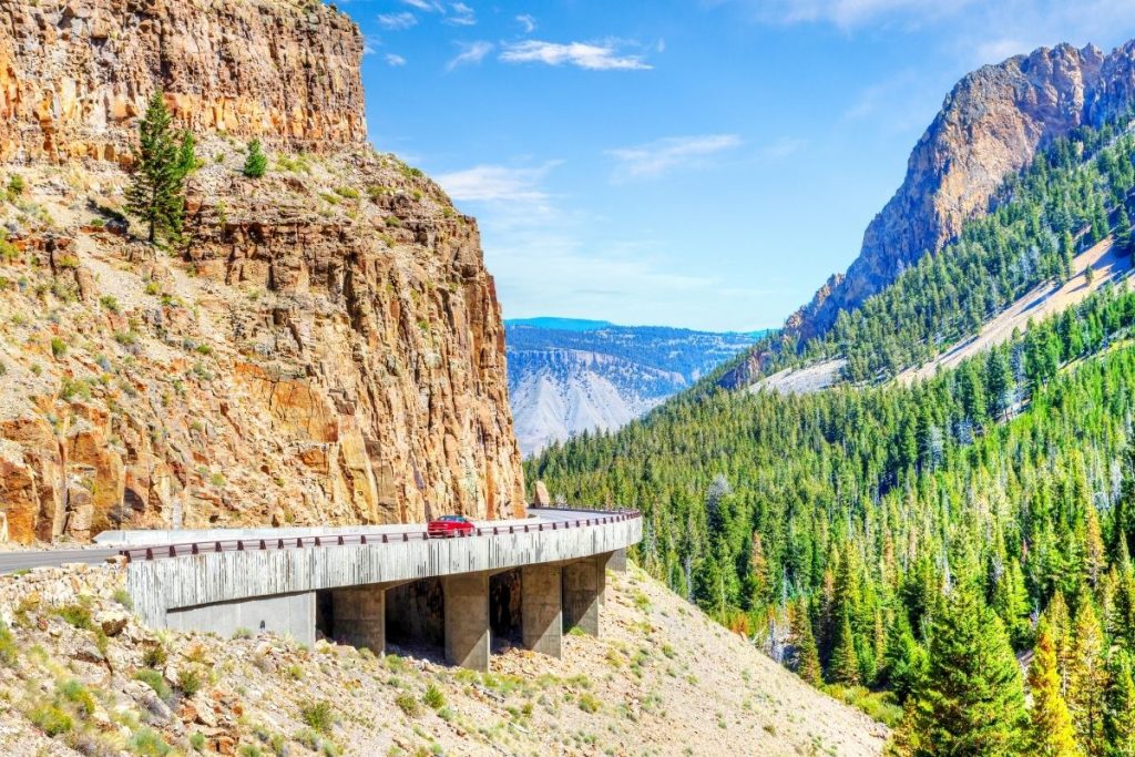 Road turns around a rock face overlooking a forest in Yellowstone