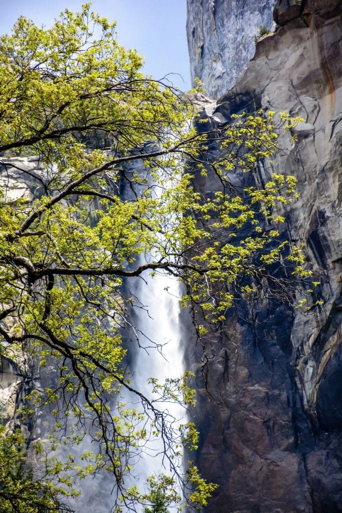 Yosemite National Park in the Spring